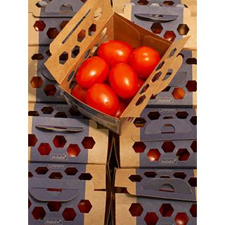 Cherrytomaten gep.