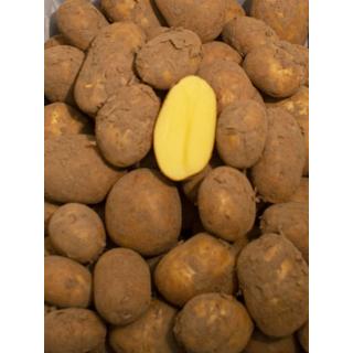 Frühkartoffeln