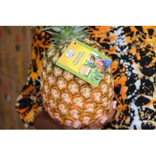 Ananas (Flugware) Fair gehandelt