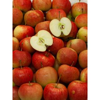 Deljonka  Apfel