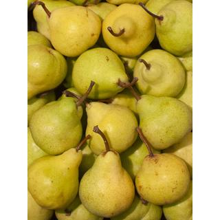 Packhams Birne