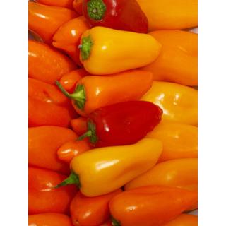 Mini Paprika Mix süss
