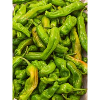 Bratpaprika Pimiento de Padron
