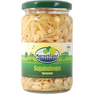 Sojabohnen Sprossen