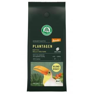 Plantagen Kaffee blond roast ganze Bohne