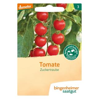Tomate Zuckertraube