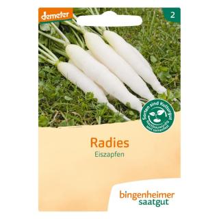 Radies Eiszapfen