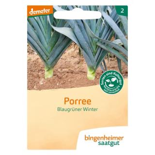 Porree Blaugrüner Winter
