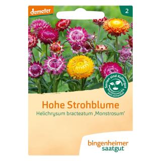 Hohe Strohblume