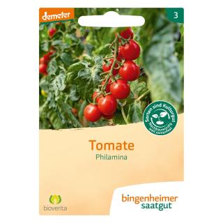 Tomate Cocktail Philamina
