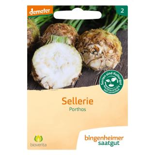 Knollensellerie Porthos
