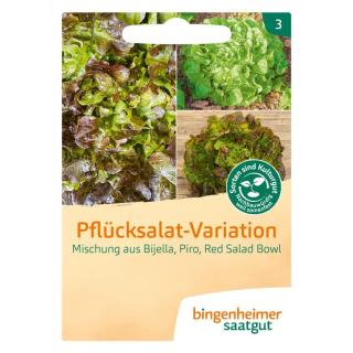 Pflücksalat-Variation