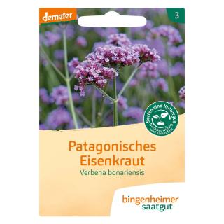 Patagonisches Eisenkraut