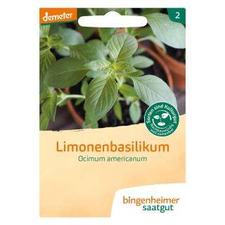 Limonen Basilikum
