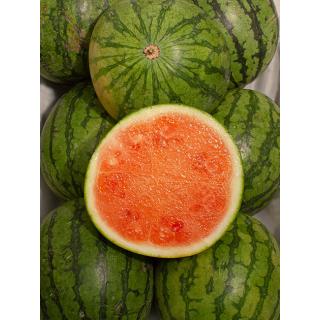 Wassermelone Mini