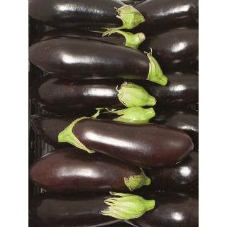 Auberginen