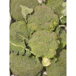 Brokkoli