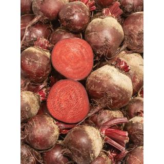 Rote Bete
