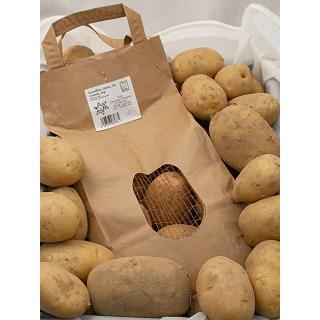 Kartoffeln Otolia "vorw. festk."